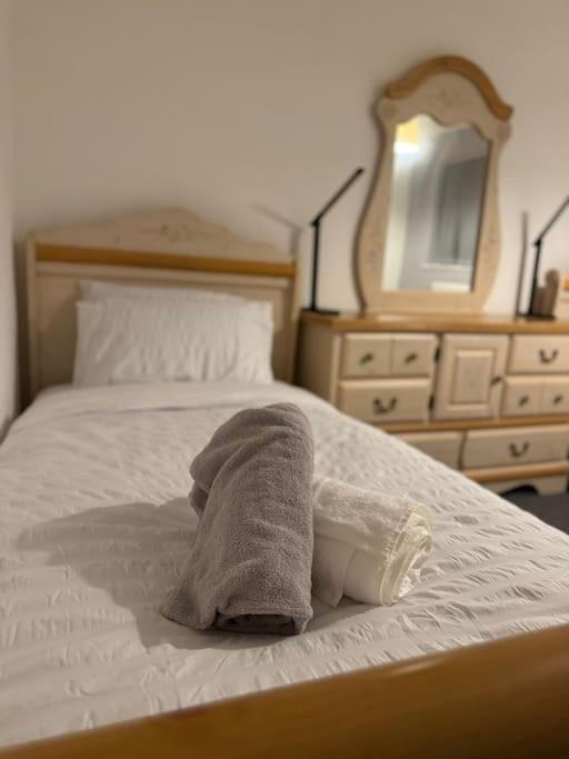Cozy 3-Bed House In Leicester City Centre Eksteriør billede